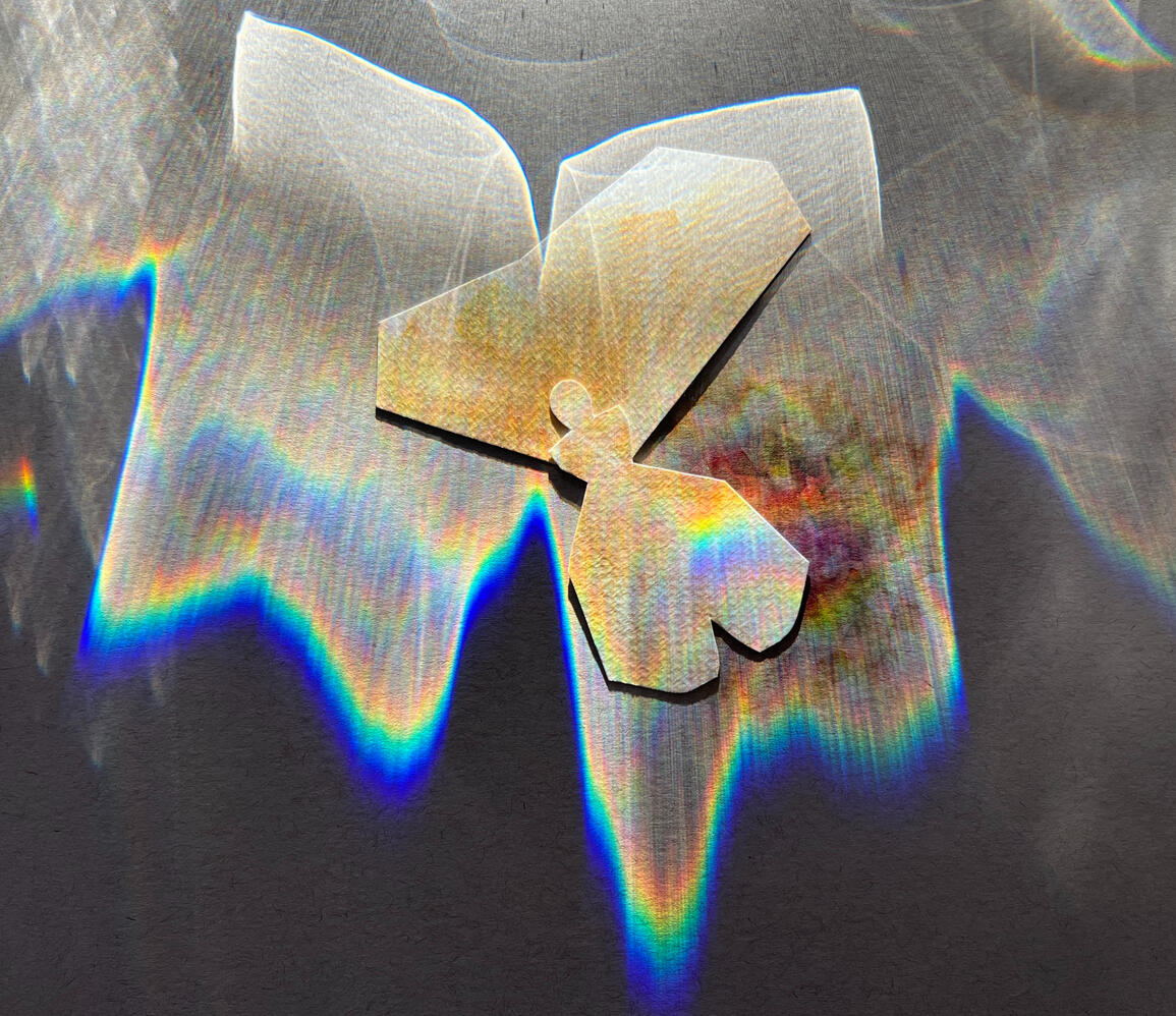 7223