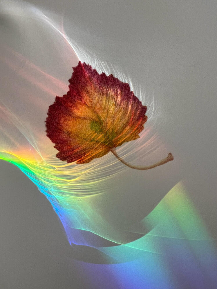 2696