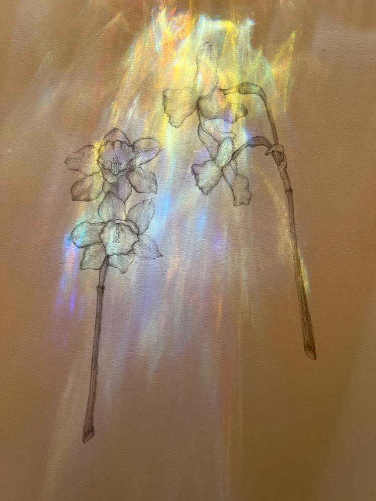 7090