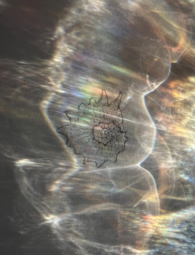 4229