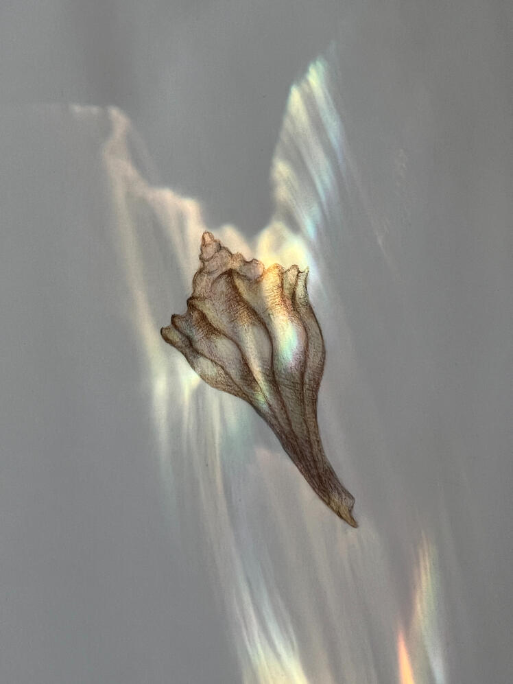 7675