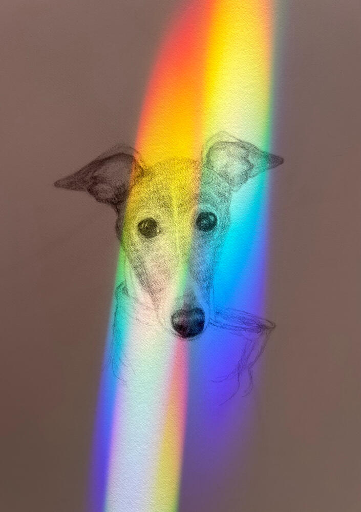 3265
