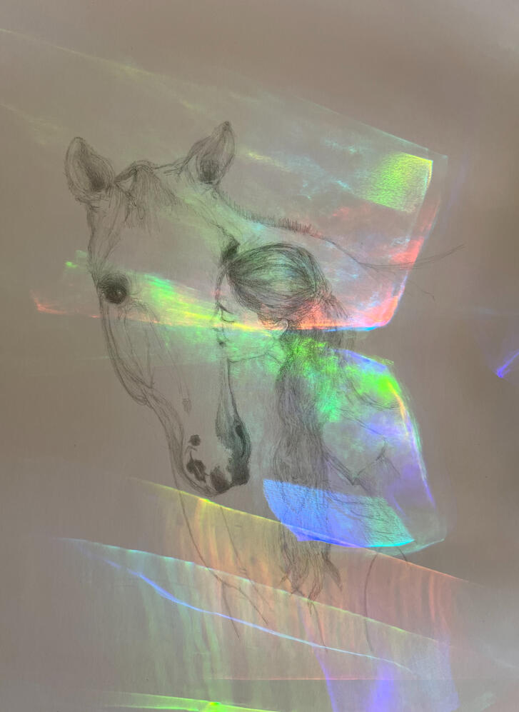 7645