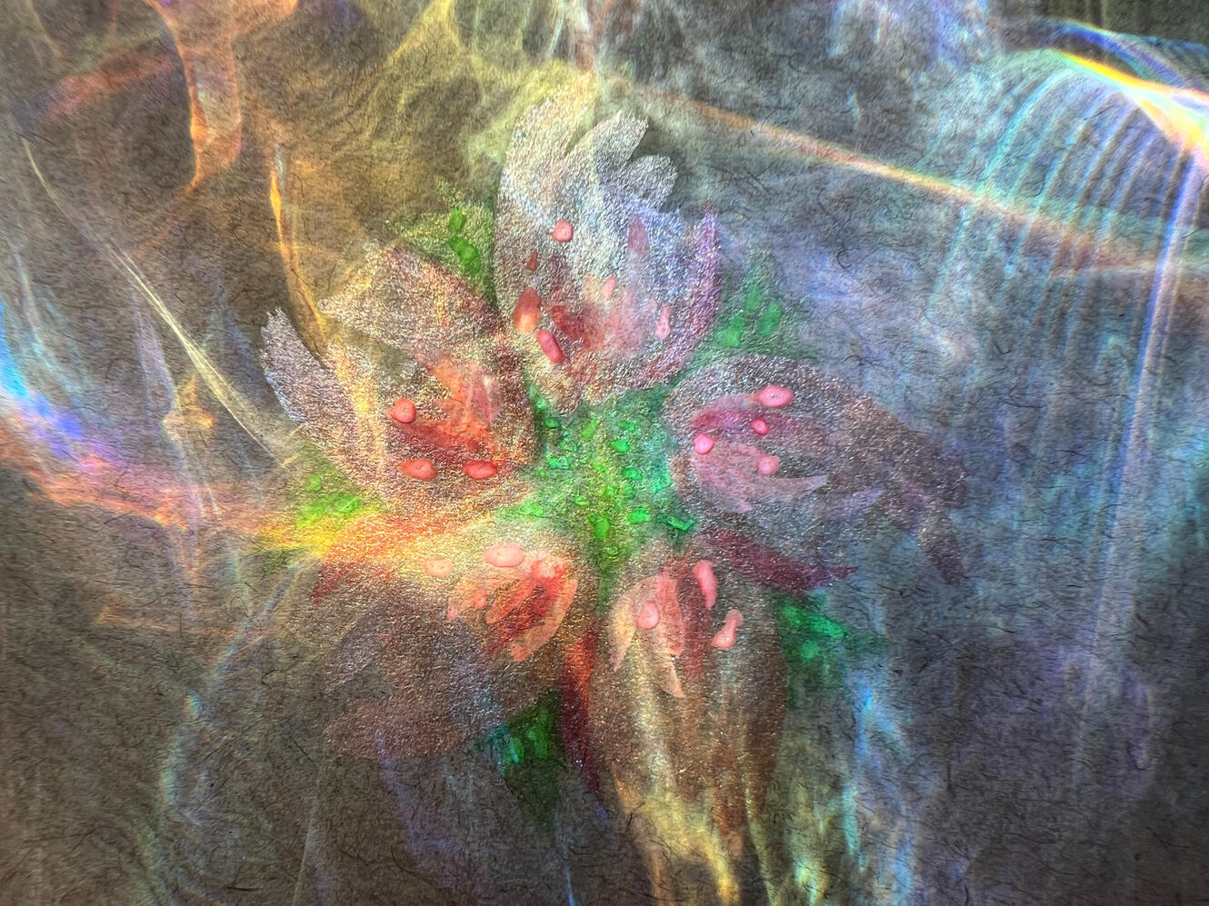 8041