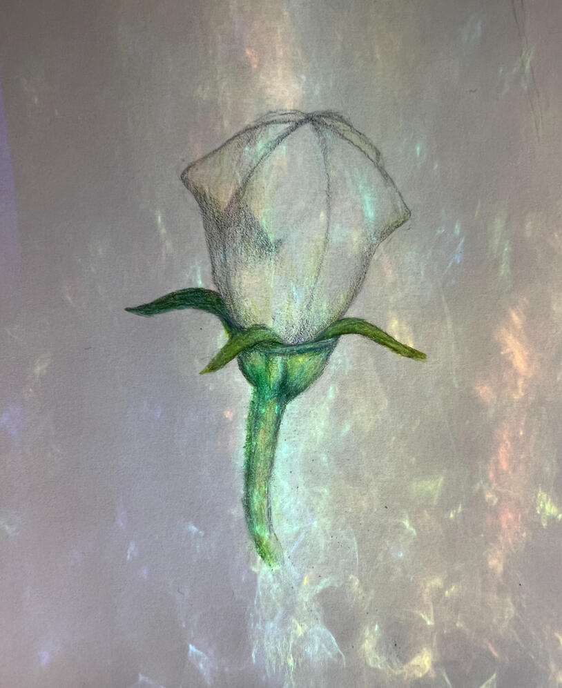 0604