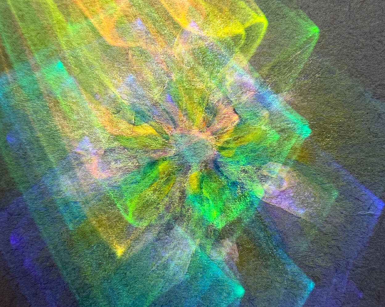 7629