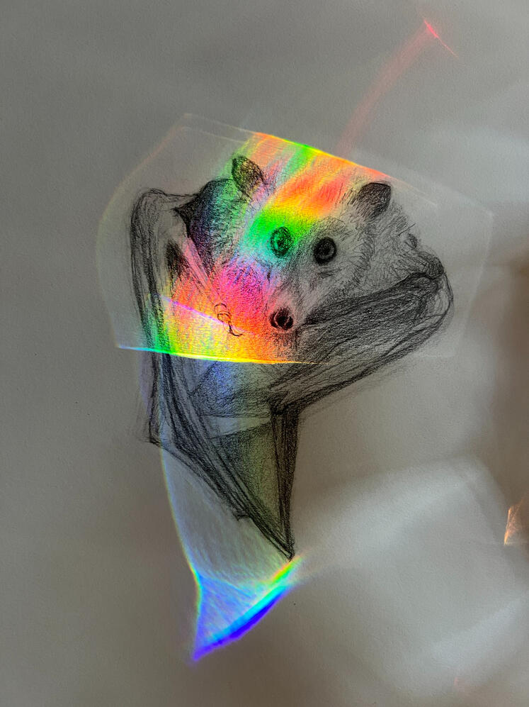 6061