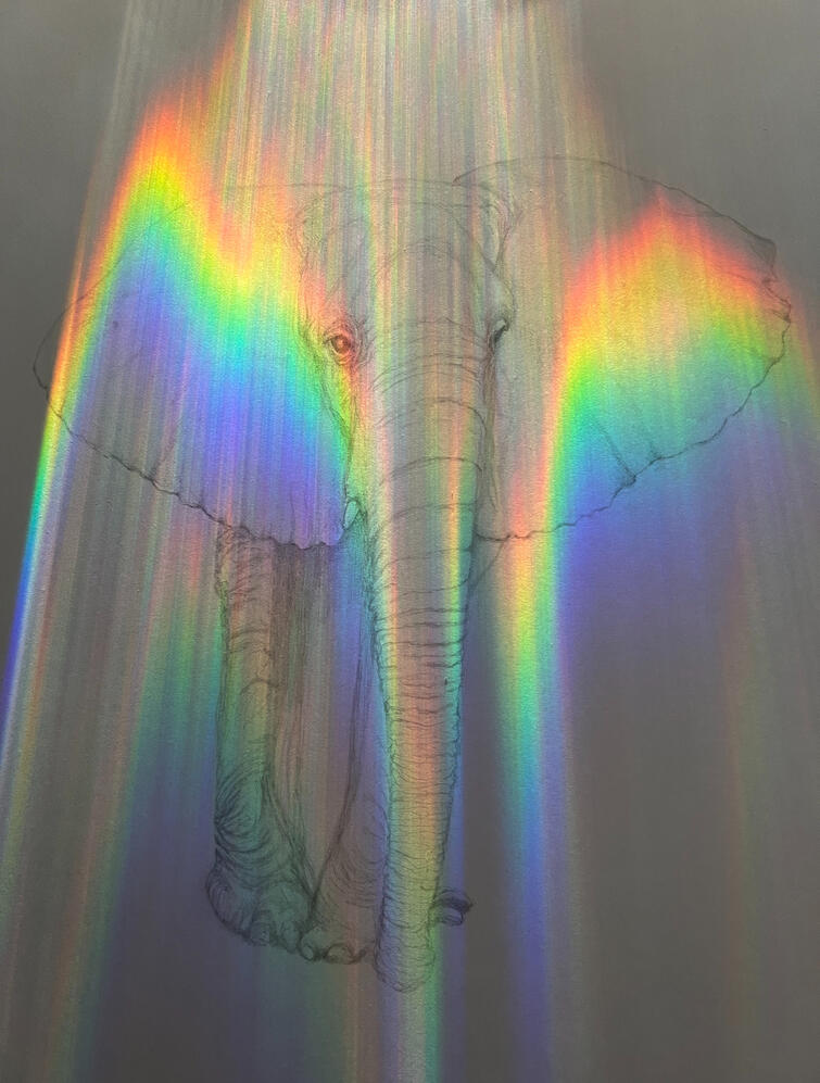 7480